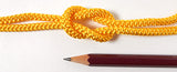 Japanese Edouchi-Himo Cord (L) - Yamabuki Yellow
